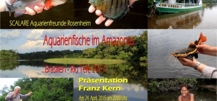 Aquarienfische im Amazonas – Franz Kern